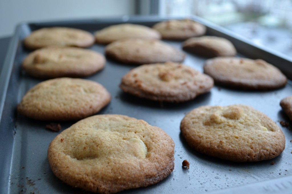 White Chocolate Macadamia Nut Cookies